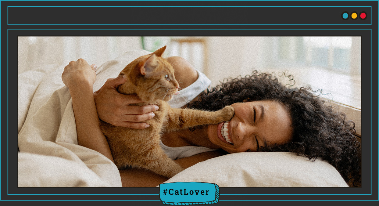 qué hacer si mi gato está estresado